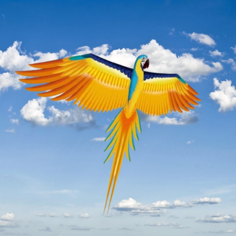 Kite Easy Fly Kids - Free shipping parrot kites flying toys