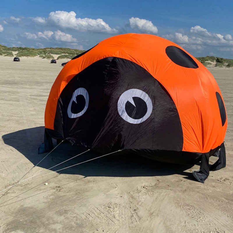Ladybird kite soft kites for k - Kite Easy Fly Kids recensione e prezzo