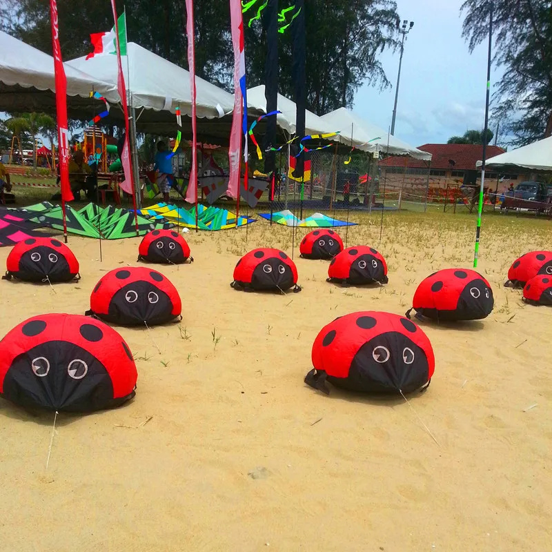 Ladybird kite soft kites for k - Kite Easy Fly Kids recensione e prezzo