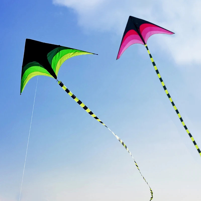 Adults Easy to Fly Large Huge  - Kite Easy Fly Kids recensione e prezzo