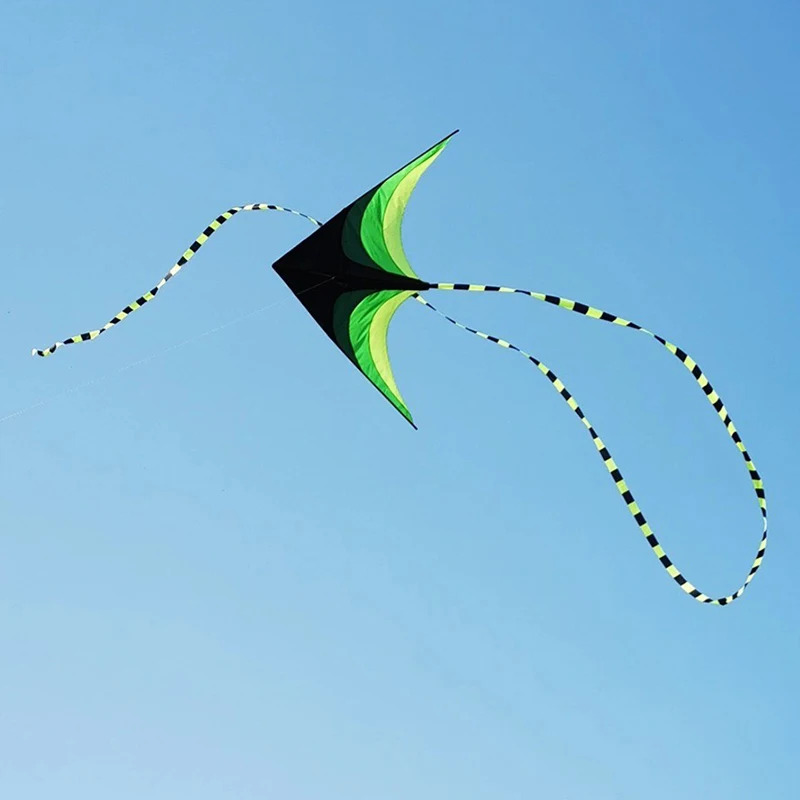 Adults Easy to Fly Large Huge  - Kite Easy Fly Kids recensione e prezzo