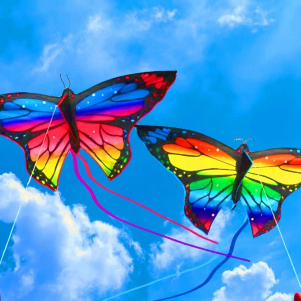 Easy to Fly Colorful Butterfly - Kite Easy Fly Kids recensione e prezzo