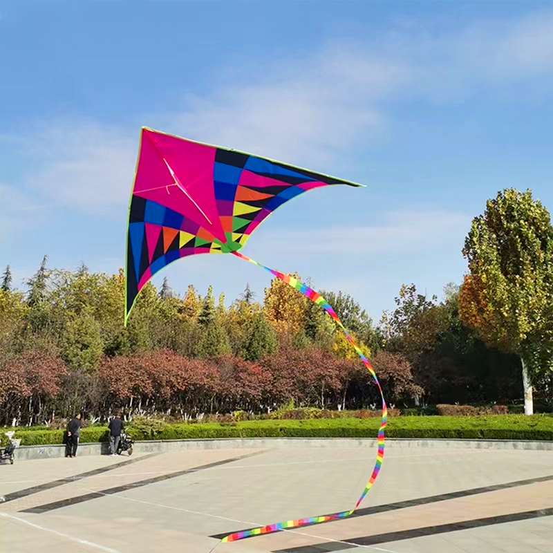 Large delta kite for kids kite - Kite Easy Fly Kids recensione e prezzo