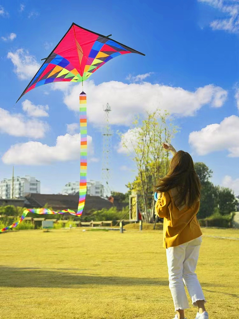 Large delta kite for kids kite - Kite Easy Fly Kids recensione e prezzo