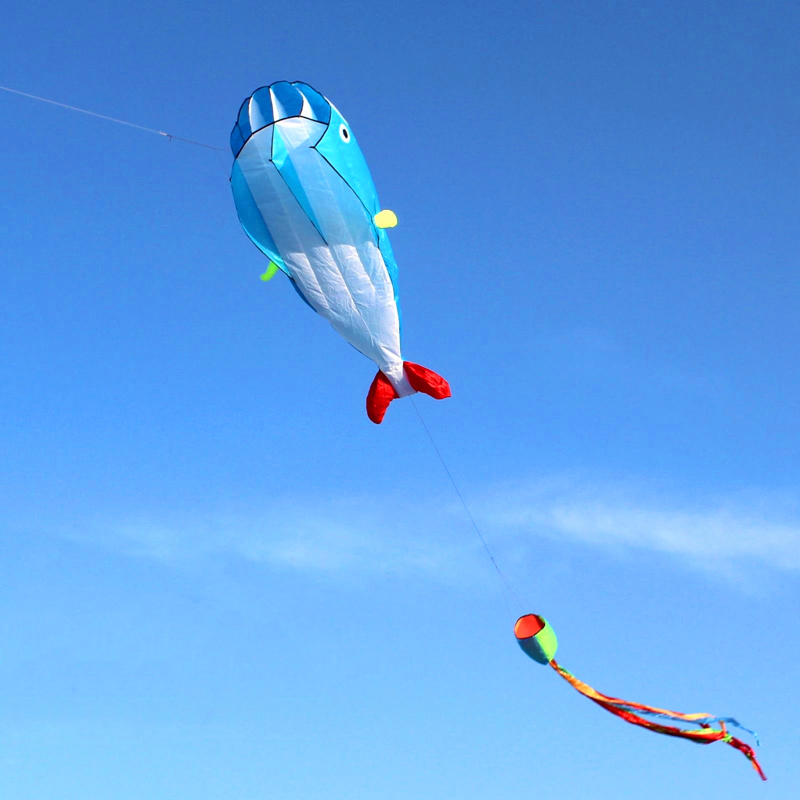 Large soft kite dolphin kite n - Kite Easy Fly Kids recensione e prezzo