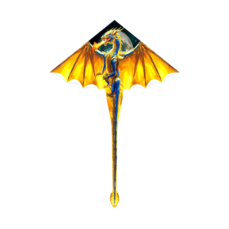 Large Dragon Kite For Kids & A - Kite Easy Fly Kids recensione e prezzo
