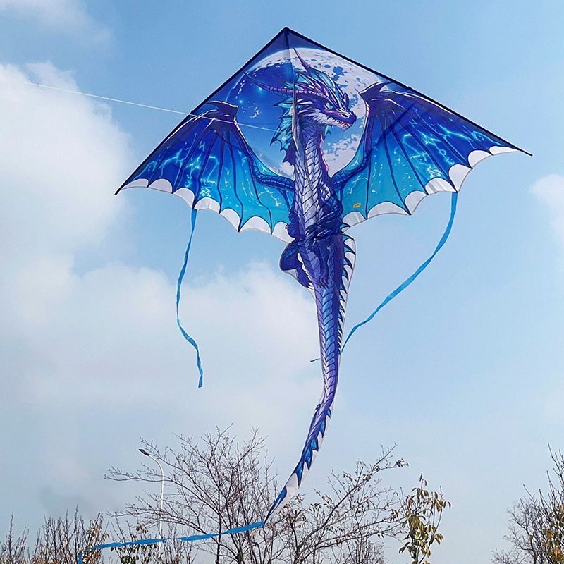 Large Dragon Kite For Kids & A - Kite Easy Fly Kids recensione e prezzo