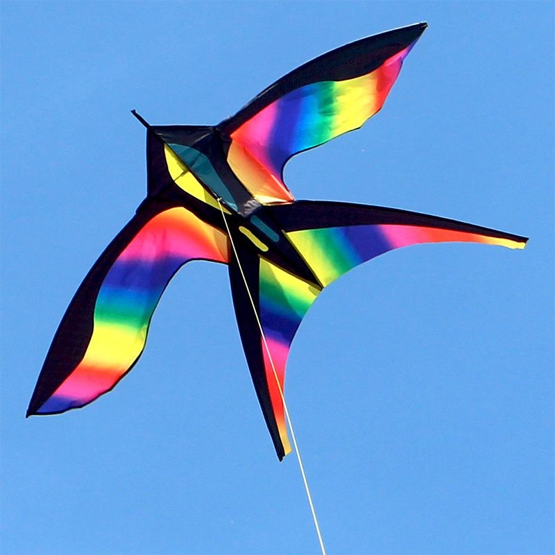 1.7m Easy to Fly Colorful Rain - Kite Easy Fly Kids recensione e prezzo