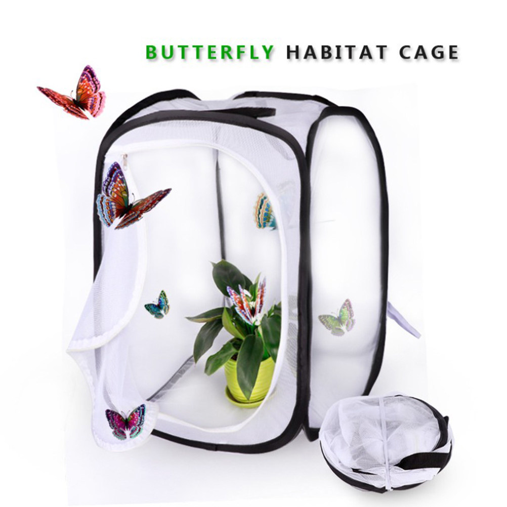 30x30cm Portable White Insect  - Kids Outdoor Tools recensione e prezzo