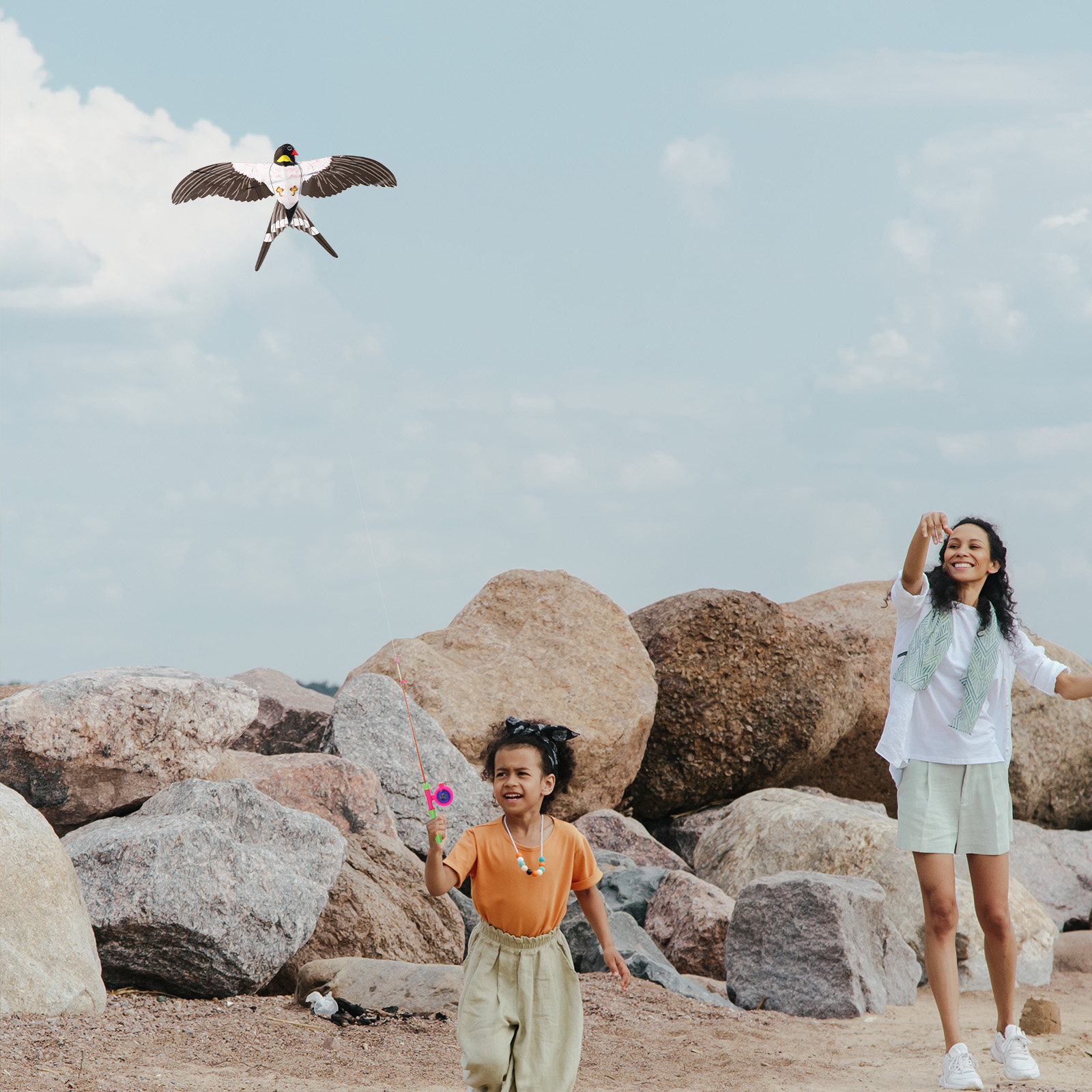 Fishing Pole Swallow Bird Kite - Kite Easy Fly Kids recensione e prezzo