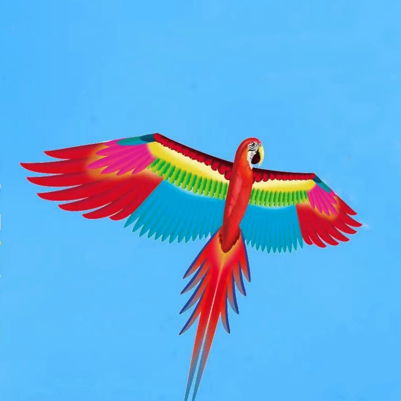 Free shipping parrot kites fly - Kite Easy Fly Kids recensione e prezzo