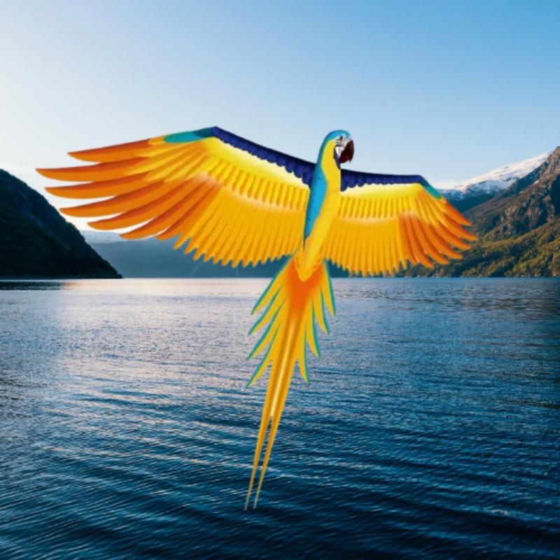 Free shipping parrot kites fly - Kite Easy Fly Kids recensione e prezzo