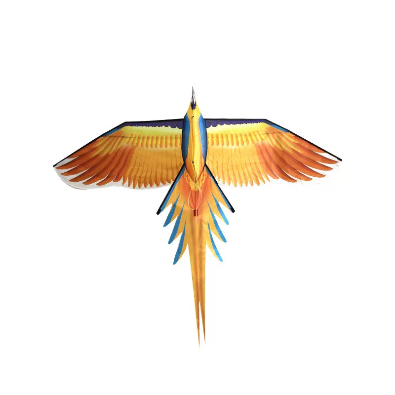 Free shipping parrot kites fly - Kite Easy Fly Kids recensione e prezzo